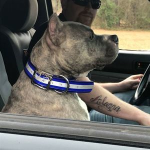 Meet your Posher, Kenneth